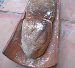 Gallery Images