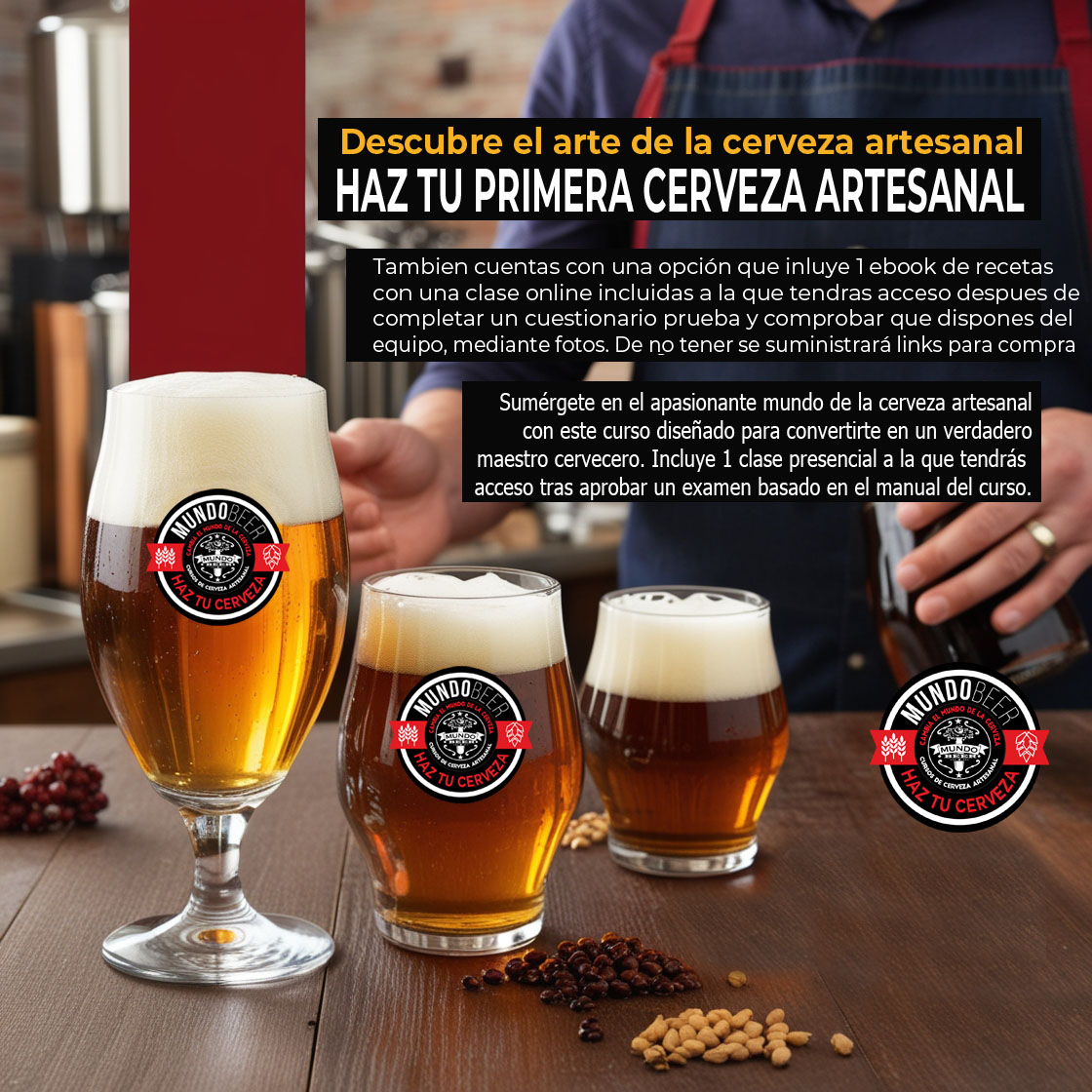 Curso de cerveza artesanal