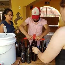 Curso Saltillo